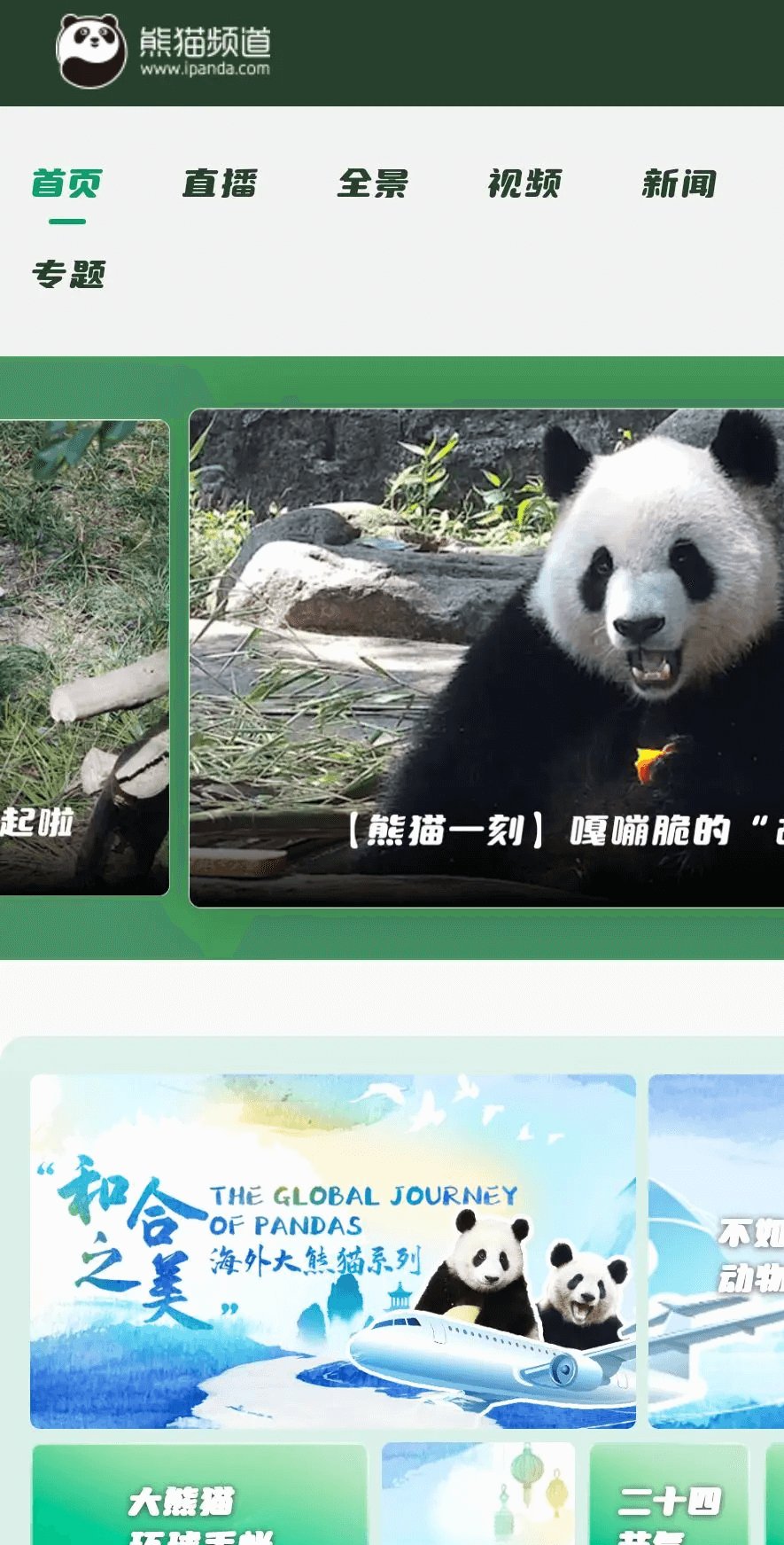 由央视网打造的以大熊猫为主题的网站：熊猫频道