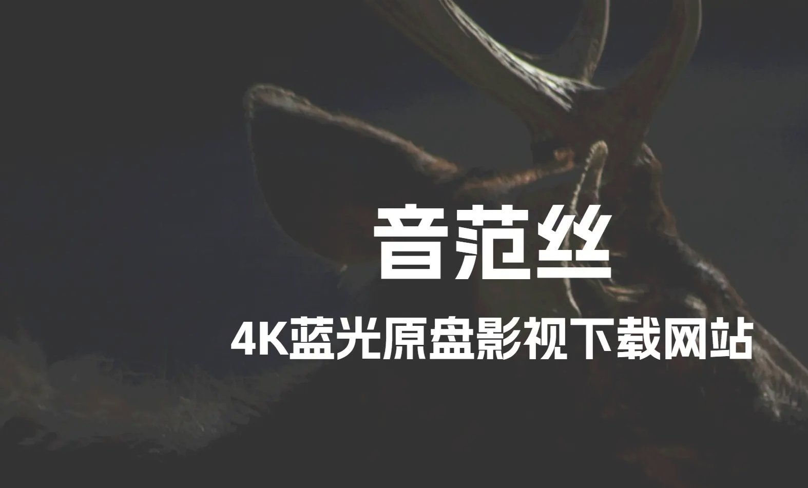 4K蓝光原盘影视下载网站：音范丝