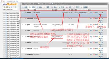 mysql数据库怎么建♂立