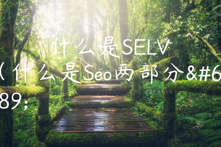 什么是SELV（什么是Seo两部分）