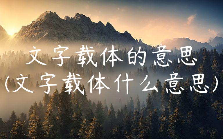 文字载体的意思(文字载体什么意思)