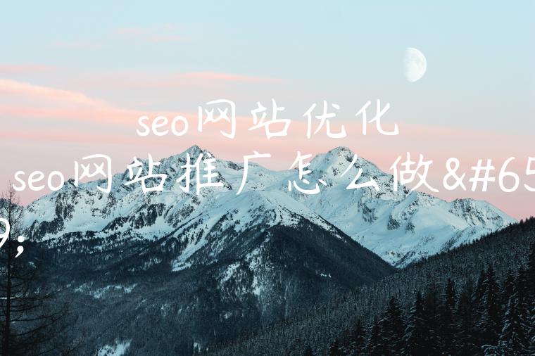 seo网站优化（seo网站推广怎么做）