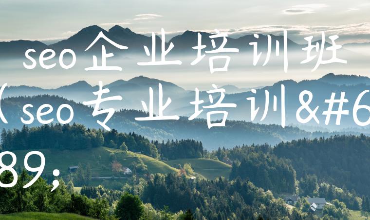 seo企业培训班（seo专业培训）