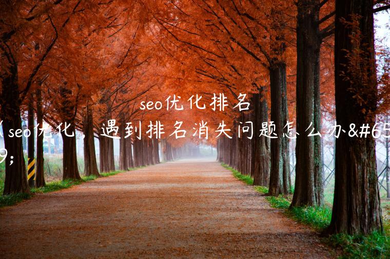 seo优化排名（seo优化，遇到排名消失问题怎么办）