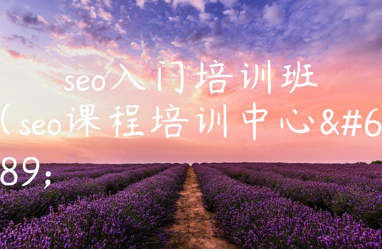 seo入门培训班（seo课程培训中心）