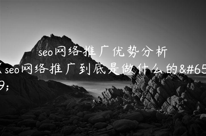 seo网络推广优势分析（seo网络推广到底是做什么的）