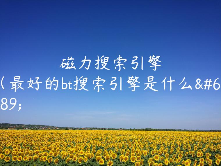 磁力搜索引擎（最好的bt搜索引擎是什么）