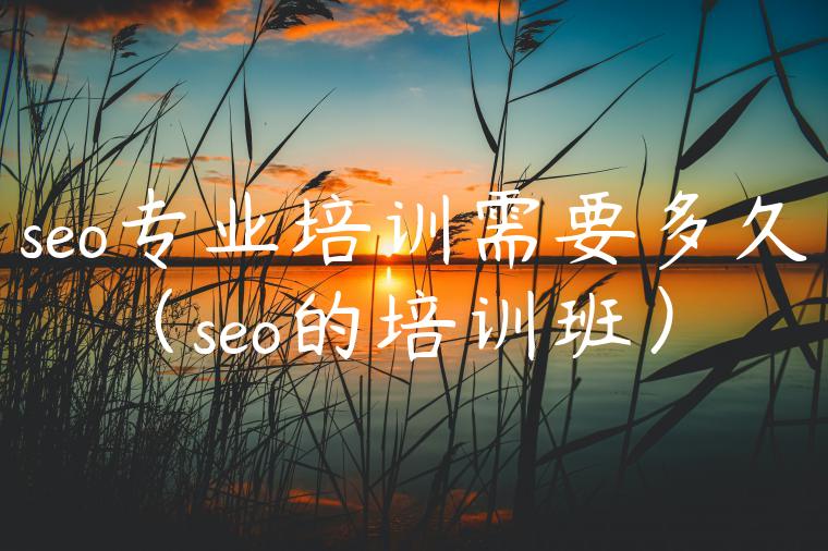 seo专业培训需要多久（seo的培训班）