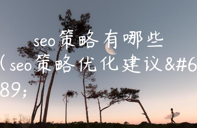 seo策略有哪些（seo策略优化建议）