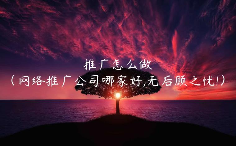 推广怎么做（网络推广公司哪家好,无后顾之忧!）