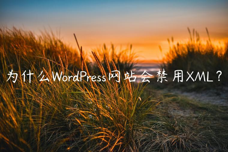 为什么WordPress网站会禁用XML？