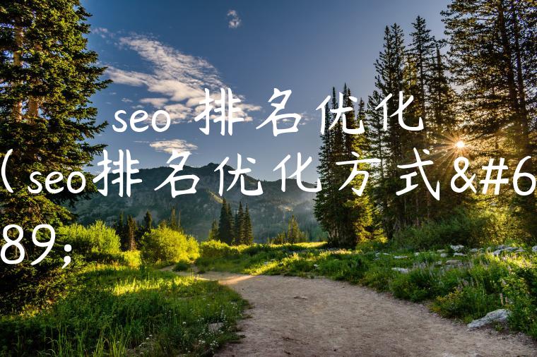 seo 排名优化（seo排名优化方式）