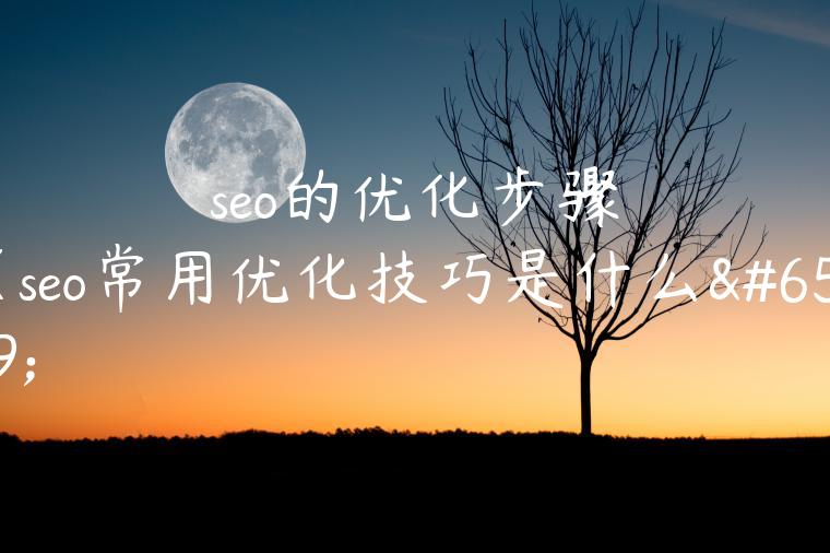 seo的优化步骤（seo常用优化技巧是什么）