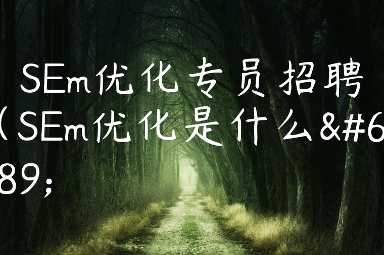 SEm优化专员招聘（SEm优化是什么）