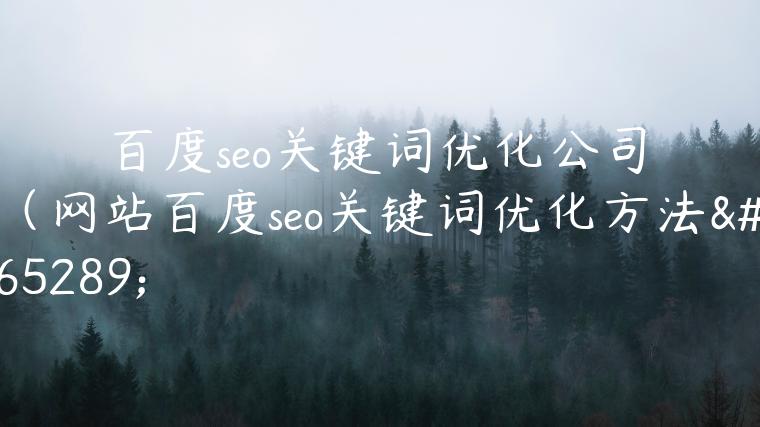 百度seo关键词优化公司（网站百度seo关键词优化方法）