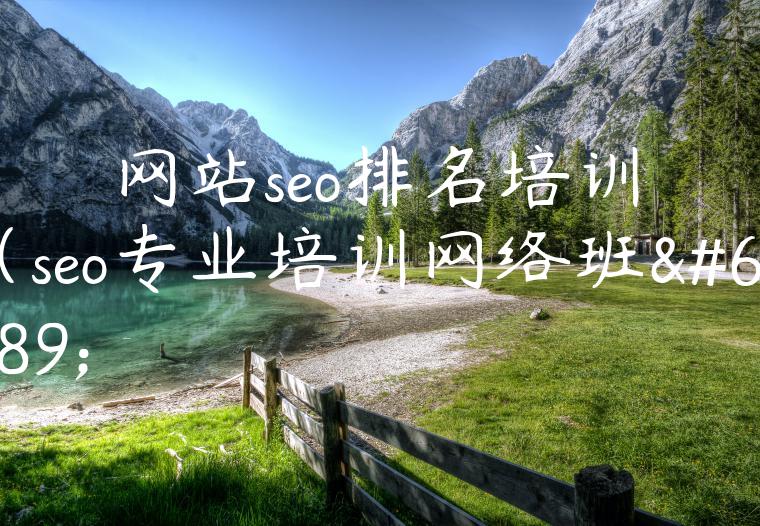 网站seo排名培训（seo专业培训网络班）