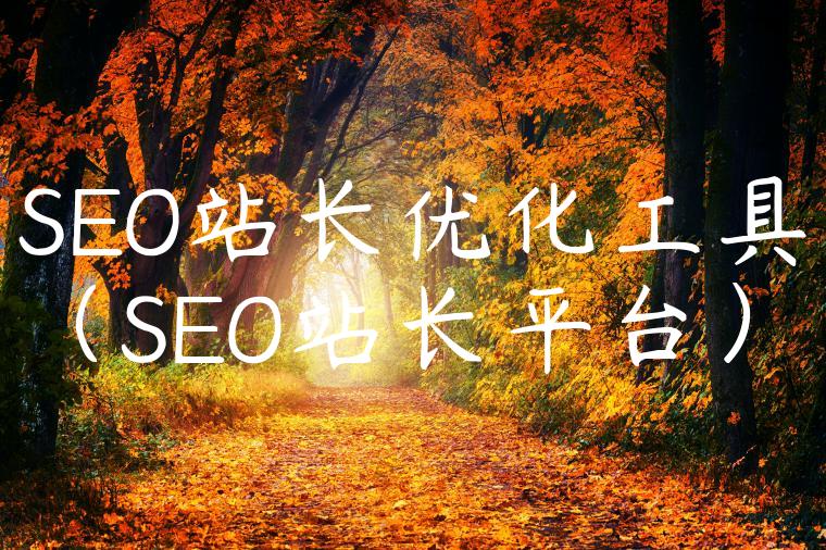 SEO站长优化工具（SEO站长平台）