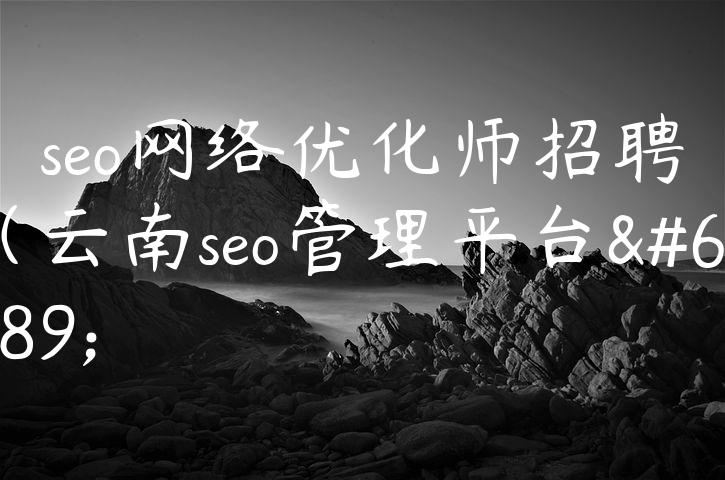 seo网络优化师招聘（云南seo管理平台）