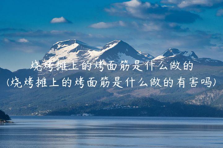 烧烤摊上的烤面筋是什么做的(烧烤摊上的烤面筋是什么做的有害吗)