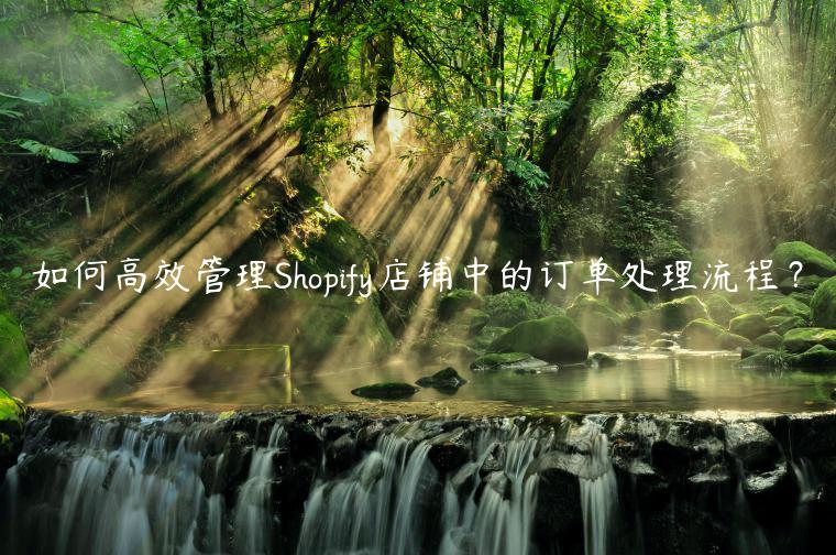 如何高效管理Shopify店铺中的订单处理流程？