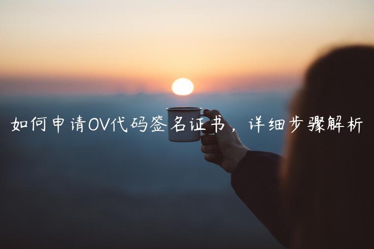 如何申请OV代码签名证书，详细步骤解析