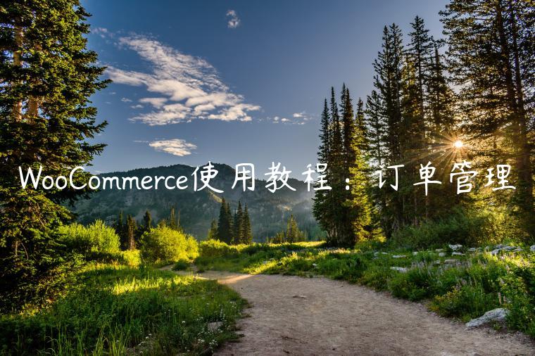 WooCommerce使用教程：订单管理