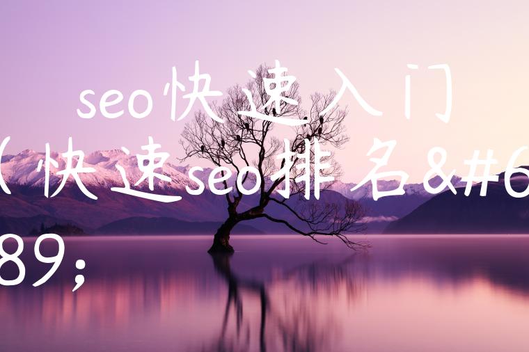 seo快速入门（快速seo排名）