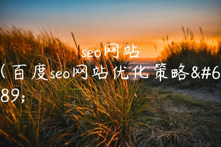 seo网站（百度seo网站优化策略）