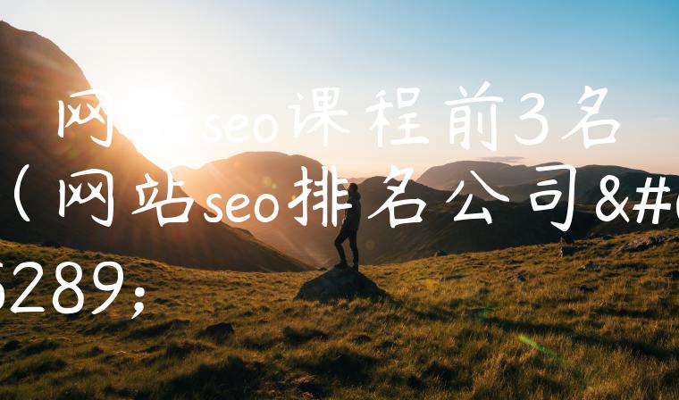 网站seo课程前3名（网站seo排名公司）