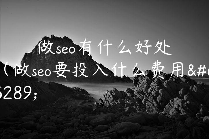 做seo有什么好处（做seo要投入什么费用）