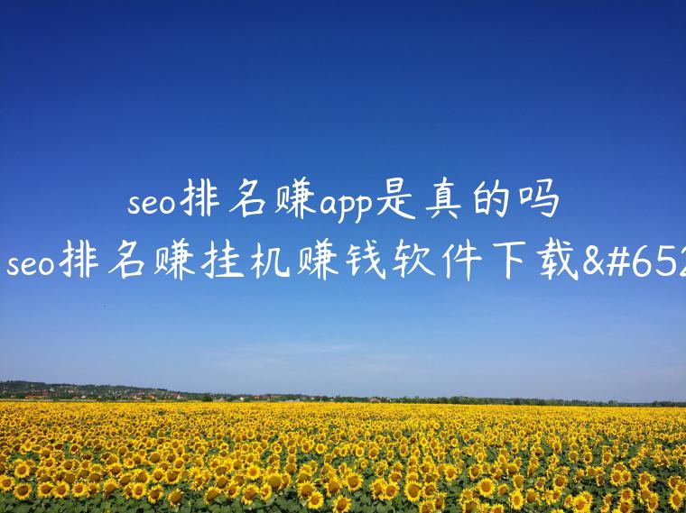 seo排名赚app是真的吗（seo排名赚挂机赚钱软件下载）