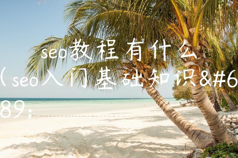 seo教程有什么（seo入门基础知识）