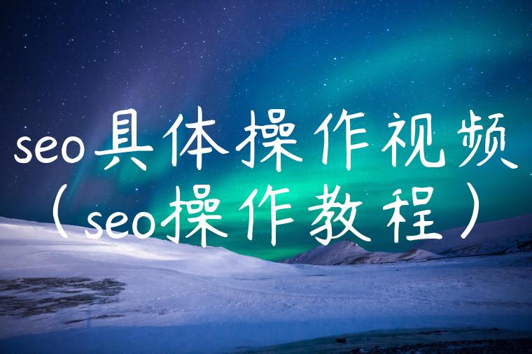 seo具体操作视频（seo操作教程）