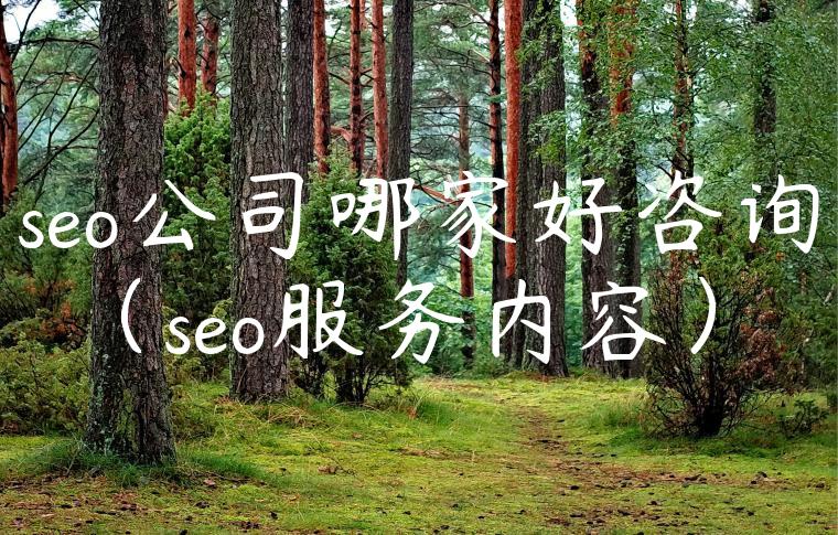 seo公司哪家好咨询（seo服务内容）