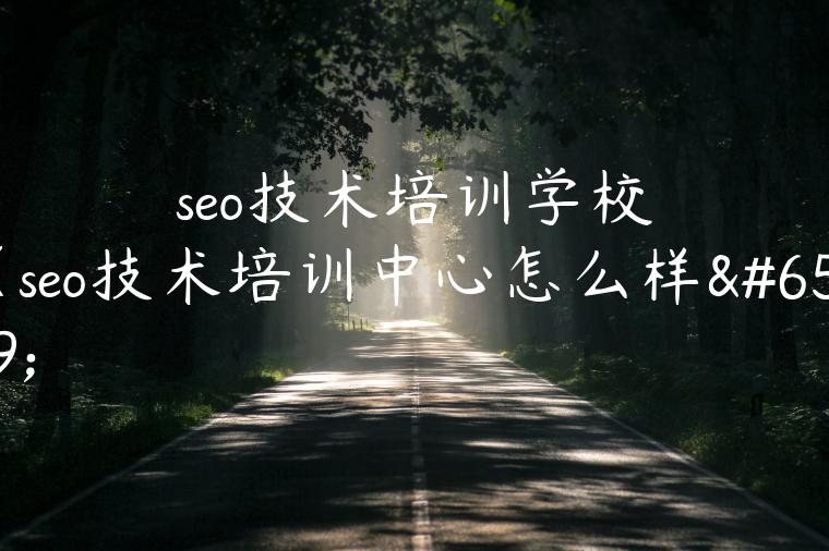 seo技术培训学校（seo技术培训中心怎么样）