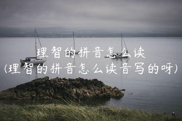 理智的拼音怎么读(理智的拼音怎么读音写的呀)