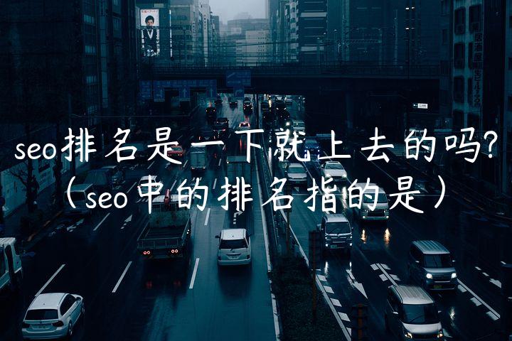 seo排名是一下就上去的吗?（seo中的排名指的是）