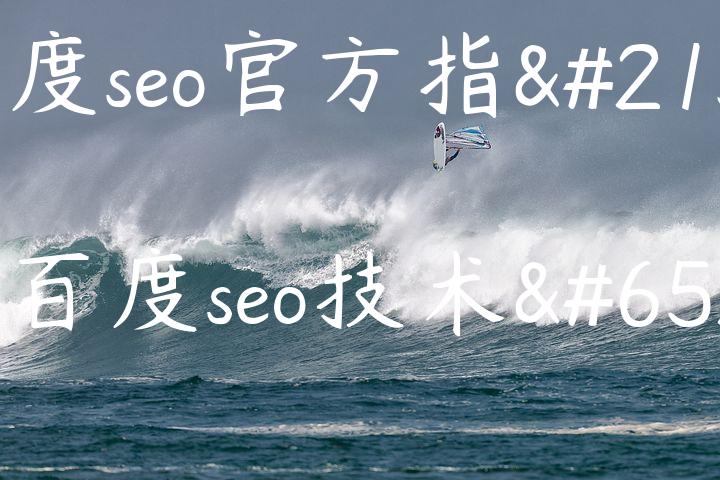 百度seo官方指南（百度seo技术）