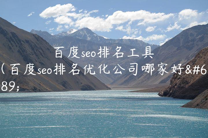 百度seo排名工具（百度seo排名优化公司哪家好）