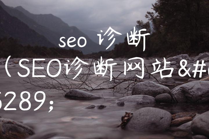 seo 诊断（SEO诊断网站）