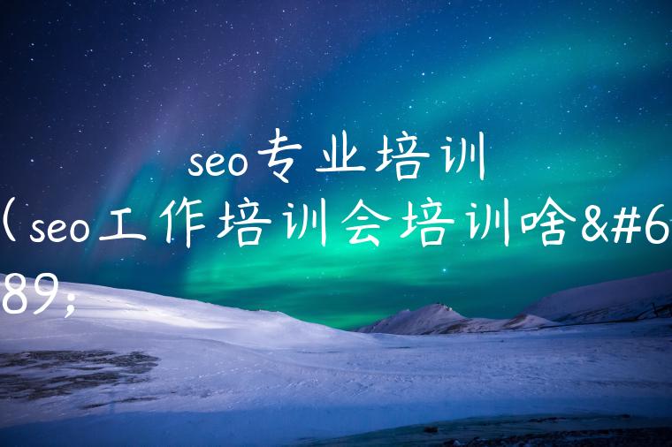 seo专业培训（seo工作培训会培训啥）