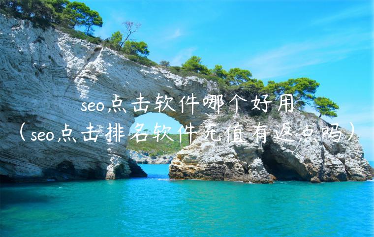 seo点击软件哪个好用（seo点击排名软件充值有返点吗）