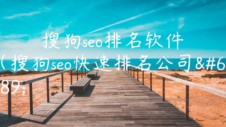 搜狗seo排名软件（搜狗seo快速排名公司）