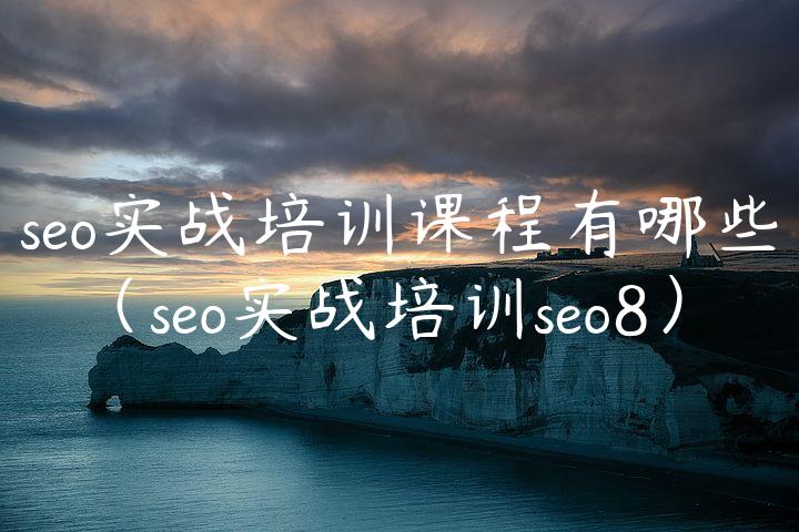 seo实战培训课程有哪些（seo实战培训seo8）