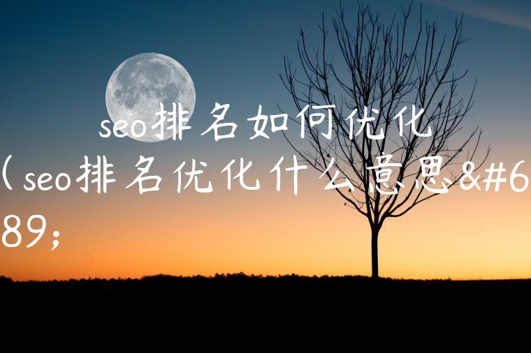 seo排名如何优化（seo排名优化什么意思）