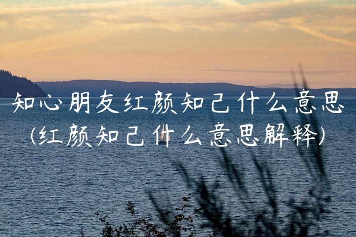 知心朋友红颜知己什么意思(红颜知己什么意思解释)