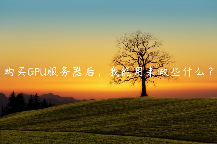 购买GPU服务器后，我能用来做些什么？