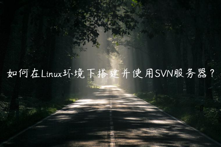 如何在Linux环境下搭建并使用SVN服务器？