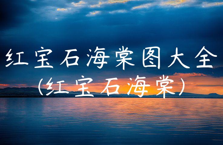 红宝石海棠图大全(红宝石海棠)