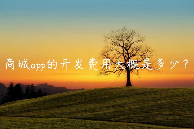 商城app的开发费用大概是多少？